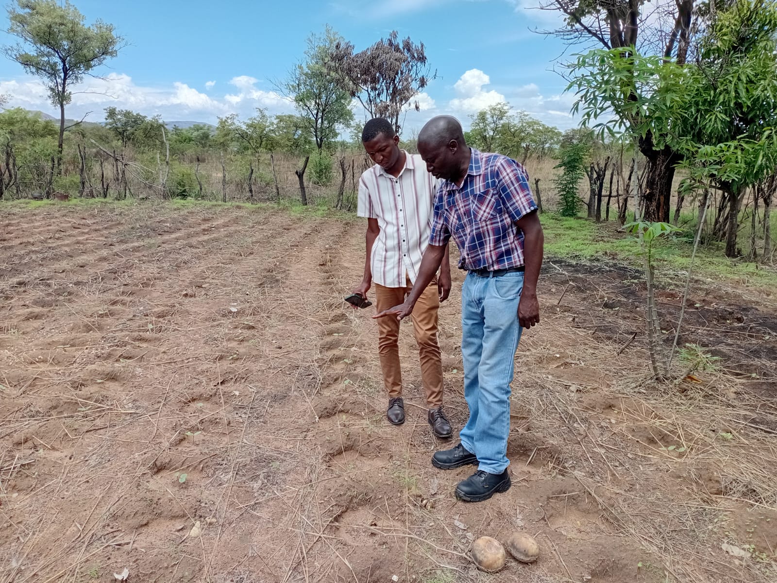 Field walk assessing soil and crop conditions