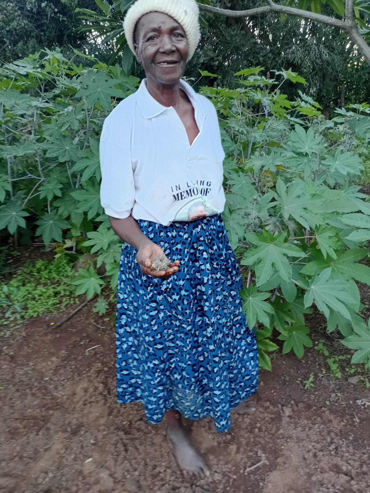 Castor Bean Initiative