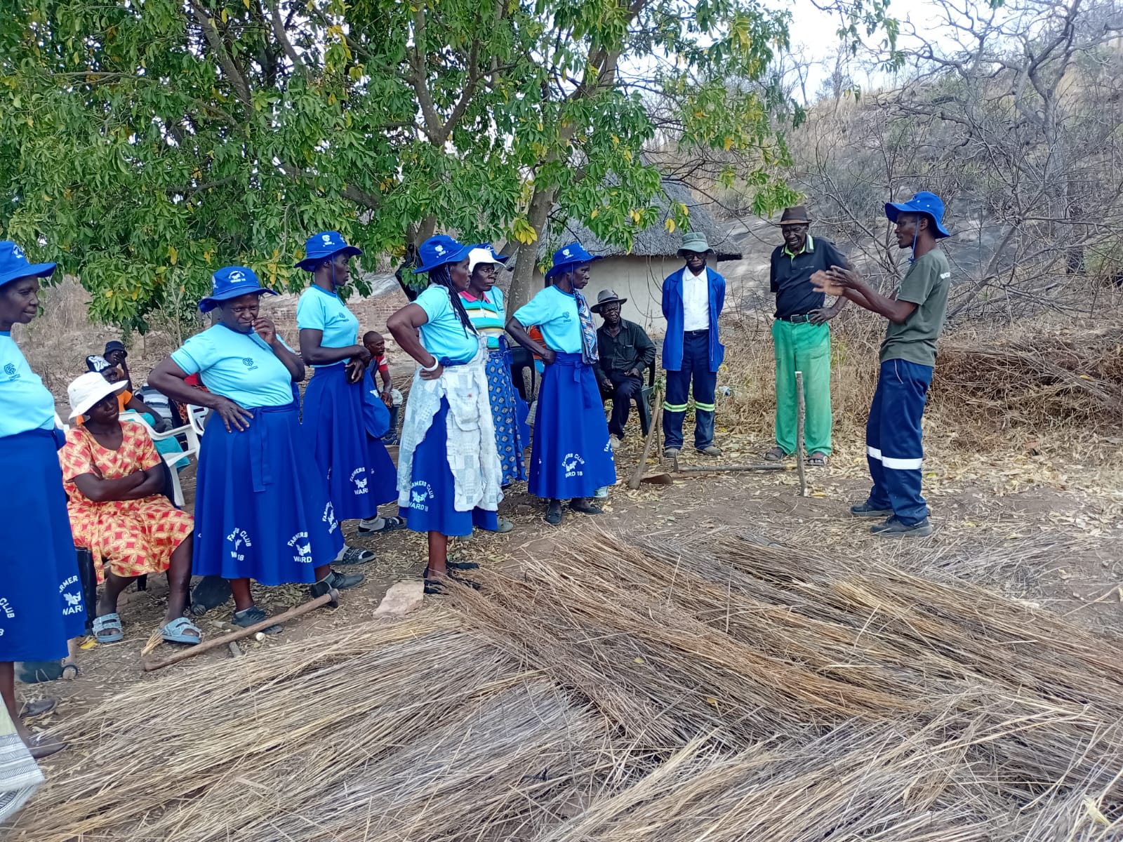 Field training session under a tree