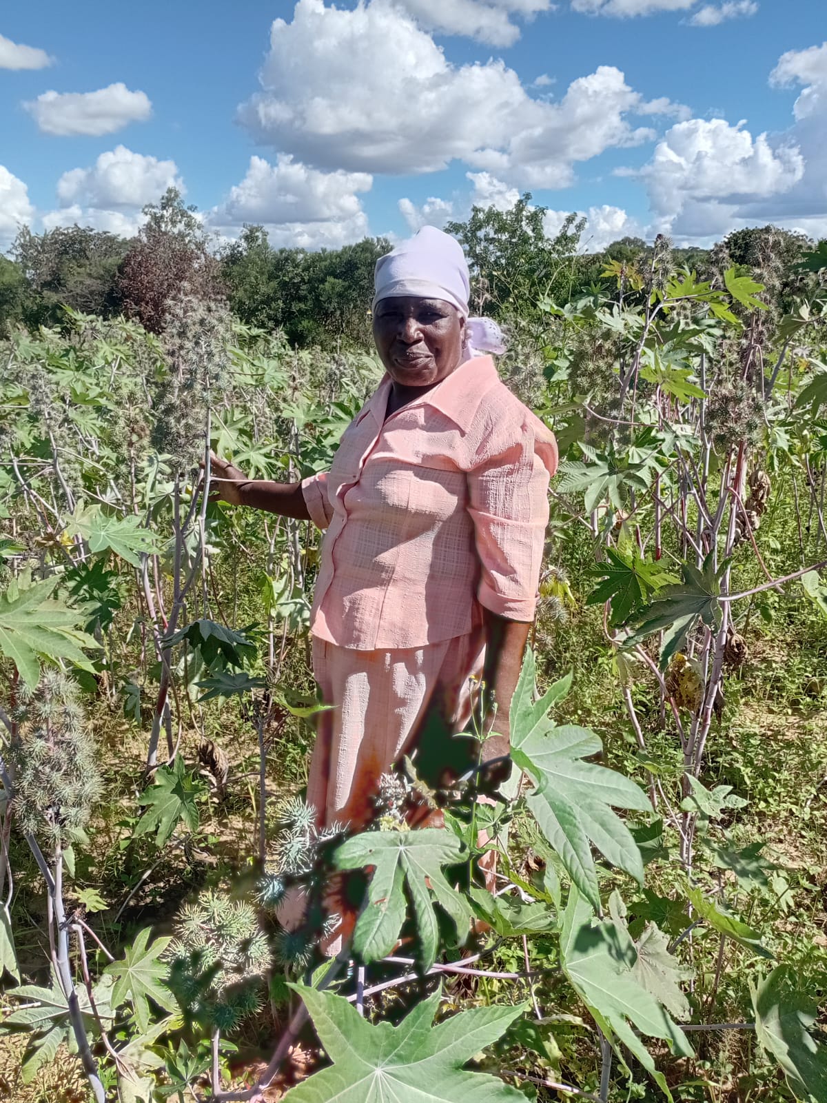 Women Feeding Nations: Stories from the Community Resilience Initiative