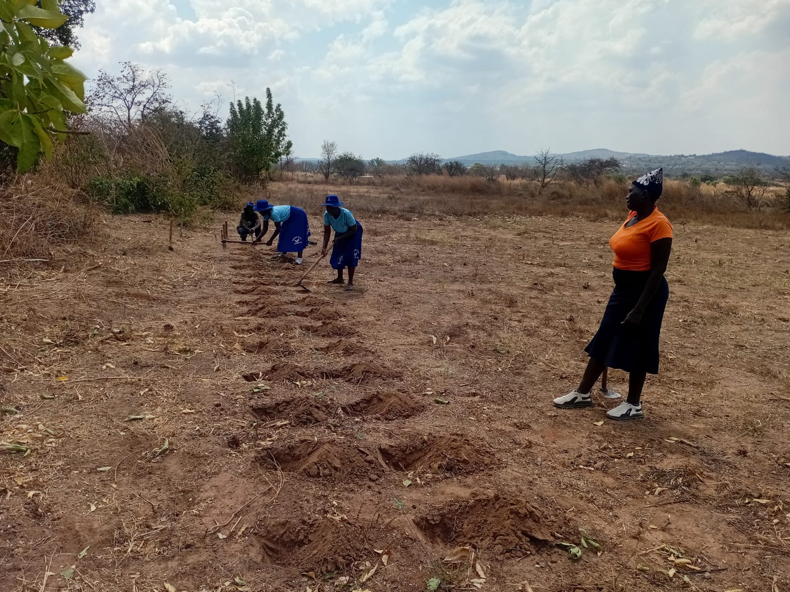 Women farmers preparing land