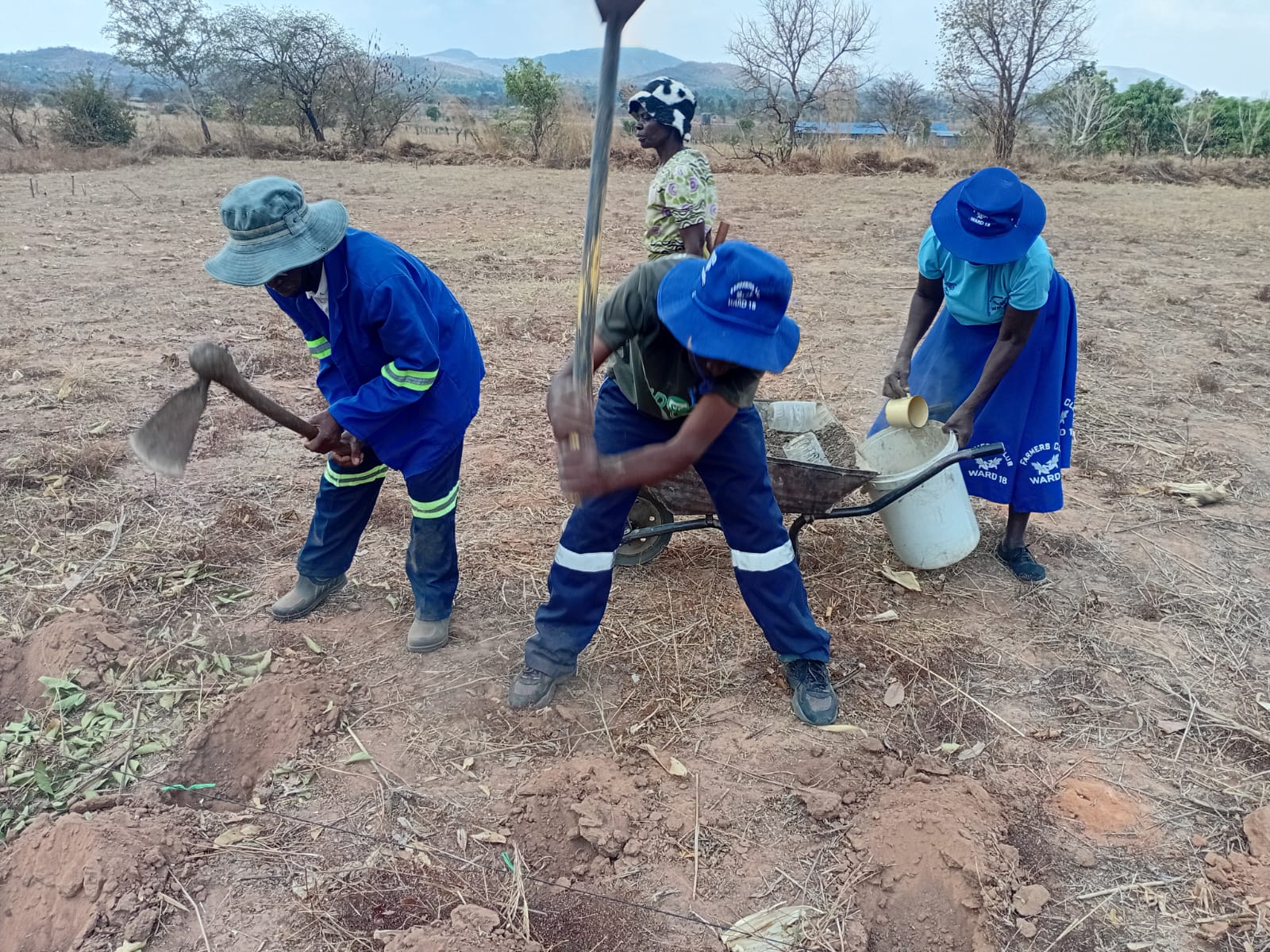 Farmers working with wheelbarrow