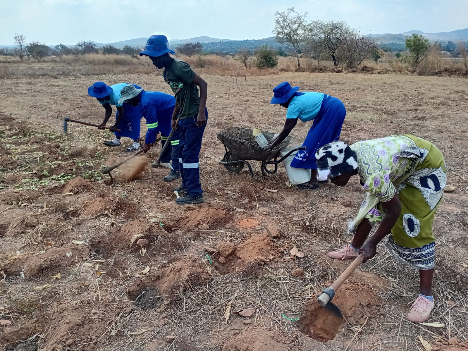 Team digging planting basins