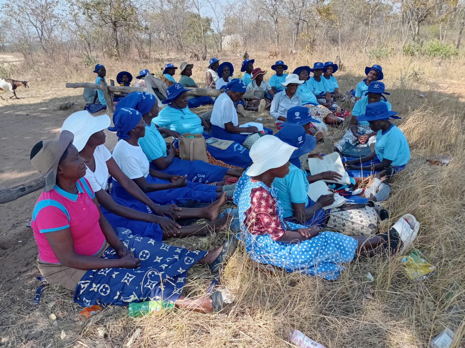 Ward 18 women farmers in circle training outdoors