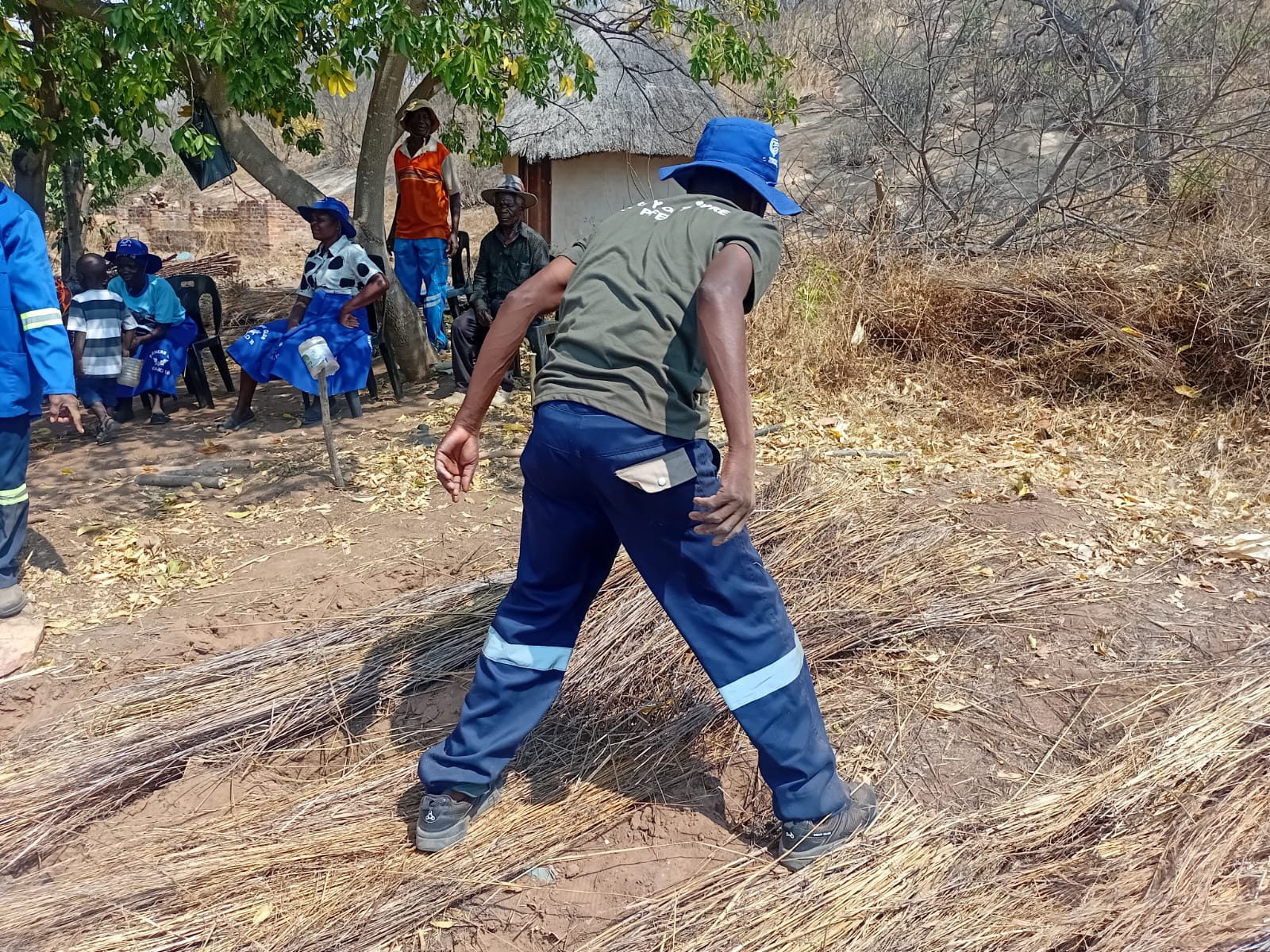Farmer planting seedlings